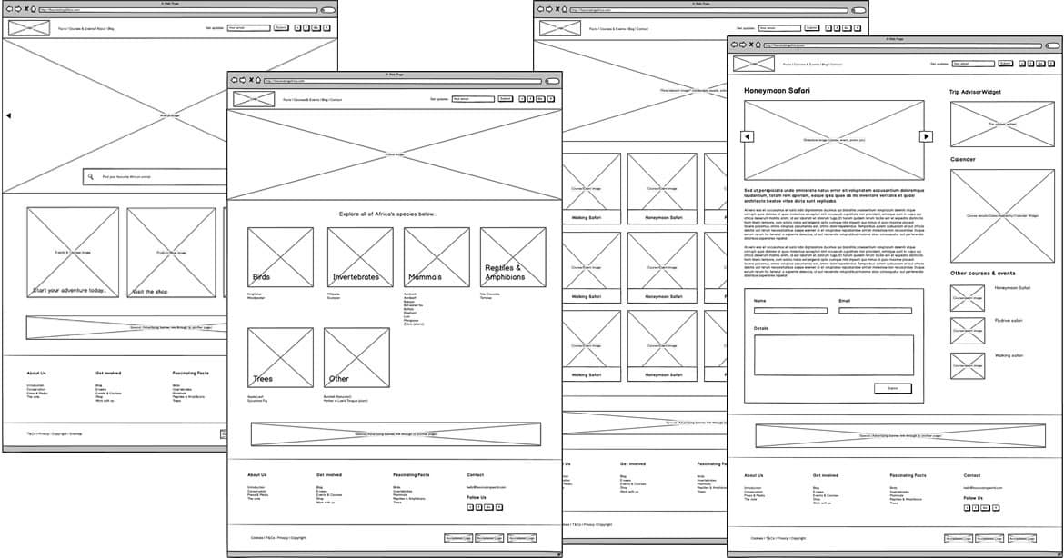 Several grayscale website wireframes showing page layout blocks, image placeholders, navigation, content areas, and footer sections.